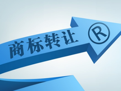 知識產(chǎn)權(quán)服務(wù) 企業(yè)創(chuàng)新發(fā)展的護(hù)航者